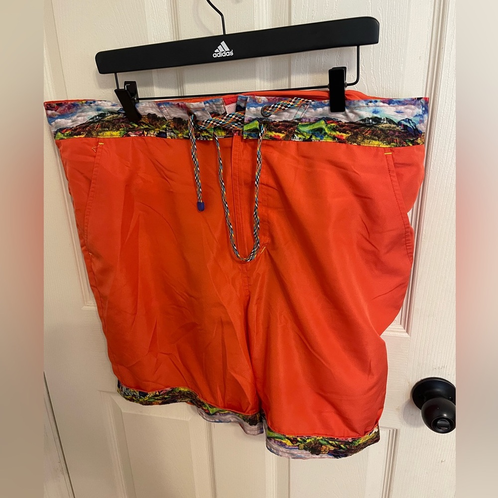 Beautiful Robert Graham bathing suit/ trunk in EUC size 38